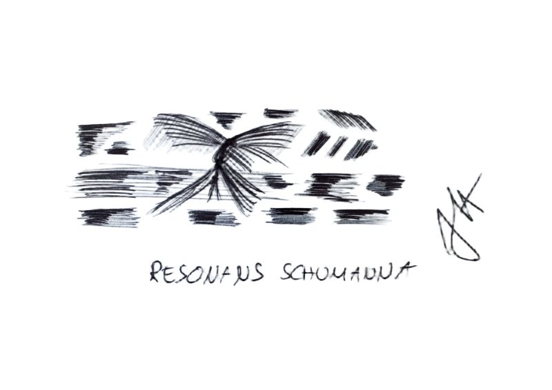 Rezonans Schumanna i sytuacja Ziemi